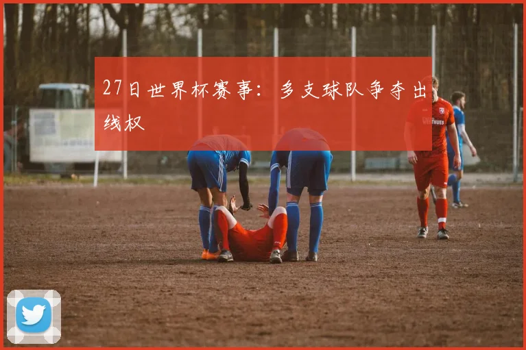 27日世界杯赛事：多支球队争夺出线权