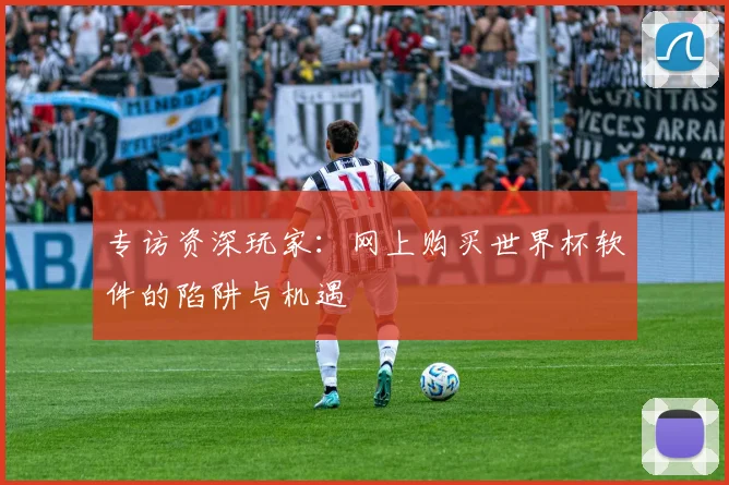专访资深玩家：网上购买世界杯软件的陷阱与机遇