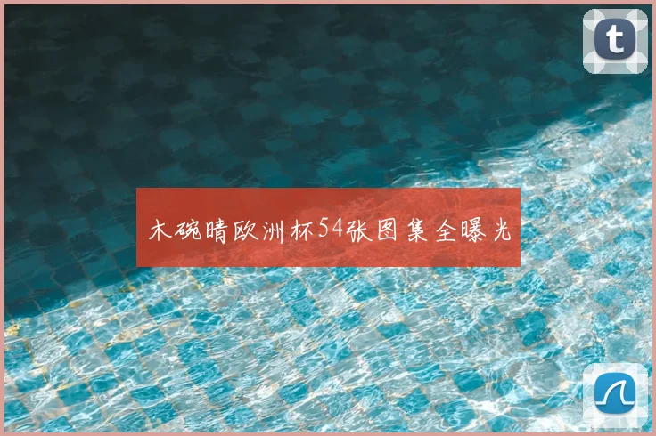木碗晴欧洲杯54张图集全曝光