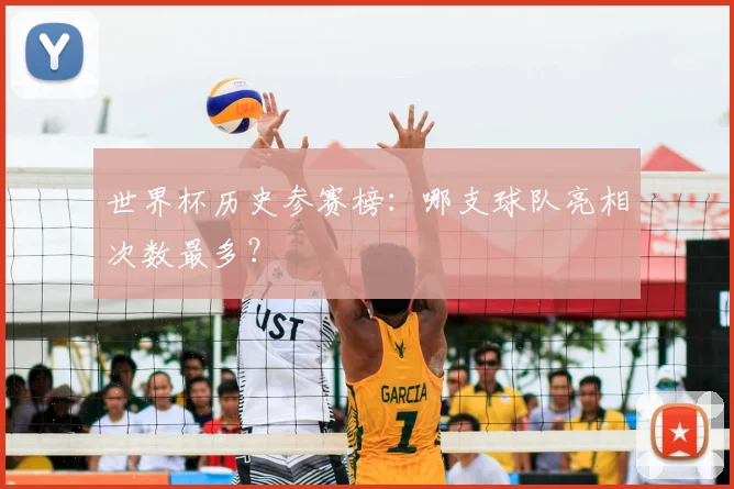世界杯历史参赛榜:哪支球队亮相次数最多?