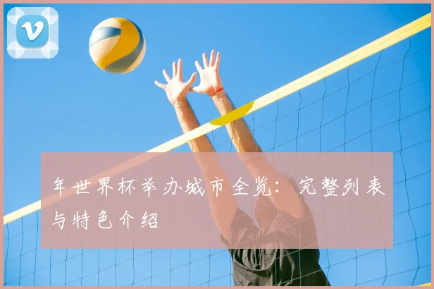 年世界杯举办城市全览：完整列表与特色介绍