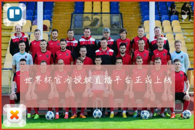 世界杯官方授权直播平台正式上线