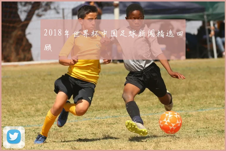 2018年世界杯中国足球新闻精选回顾